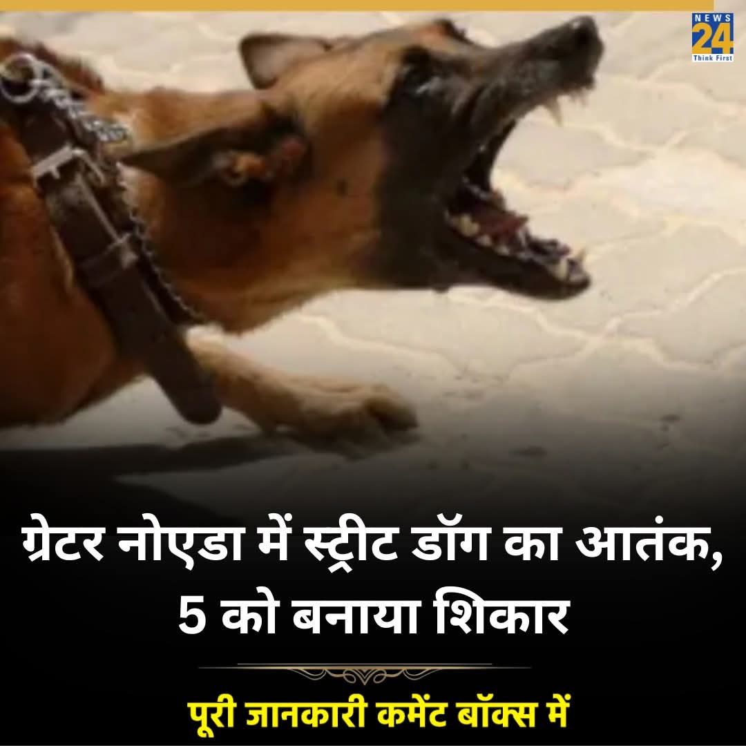 Ajay Pandit (@ajay_ajay2135) on Twitter photo So attacks are continuing in Noida. Looks like the situation is beyond control. <a href="/VijayGoelBJP/">Vijay Goel</a> ji <a href="/Joginde05957128/">Joginder Singh ( рдЖрдо рдирд╛рдЧрд░рд┐рдХреЛ рдХреА рдЖрд╡рд╛рдЬ)</a> ji рдЬрд░рд╛ рдзреНрдпрд╛рди рджреАрдЬрд┐рдП рдЬрдирд╛рдм рдпреЗ рд▓реЗрдЯреЗрд╕реНрдЯ рдиреНрдпреВрдЬ рд╣реИред <a href="/narendramodi/">Narendra Modi</a> ji when will the terror end? <a href="/RatanSharda55/">Ratan Sharda ЁЯЗоЁЯЗ│ рд░рддрди рд╢рд╛рд░рджрд╛</a> ji can you help regarding Stray dogs attack Sir? So attacks are continuing in Noida. Looks like the situation is beyond control. <a href="/VijayGoelBJP/">Vijay Goel</a> ji <a href="/Joginde05957128/">Joginder Singh ( рдЖрдо рдирд╛рдЧрд░рд┐рдХреЛ рдХреА рдЖрд╡рд╛рдЬ)</a> ji рдЬрд░рд╛ рдзреНрдпрд╛рди рджреАрдЬрд┐рдП рдЬрдирд╛рдм рдпреЗ рд▓реЗрдЯреЗрд╕реНрдЯ рдиреНрдпреВрдЬ рд╣реИред <a href="/narendramodi/">Narendra Modi</a> ji when will the terror end? <a href="/RatanSharda55/">Ratan Sharda ЁЯЗоЁЯЗ│ рд░рддрди рд╢рд╛рд░рджрд╛</a> ji can you help regarding Stray dogs attack Sir?