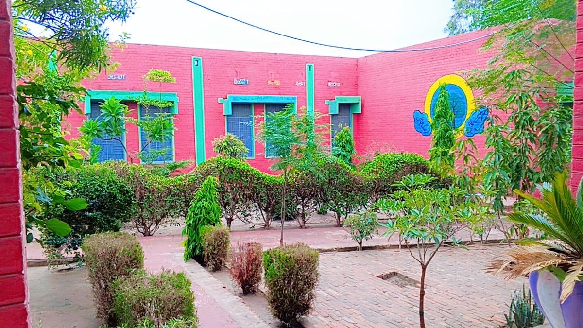 سرکاری سکولز وہاڑی 🩷