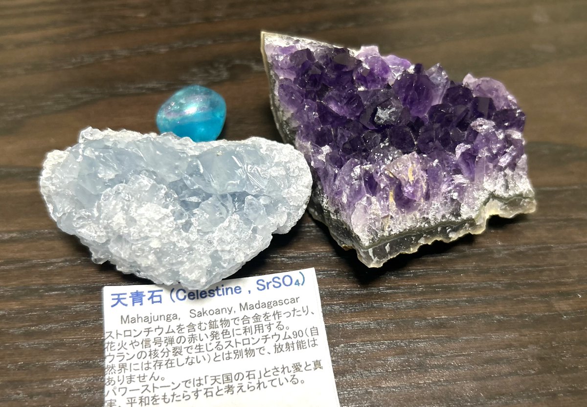 わたげもどき on X