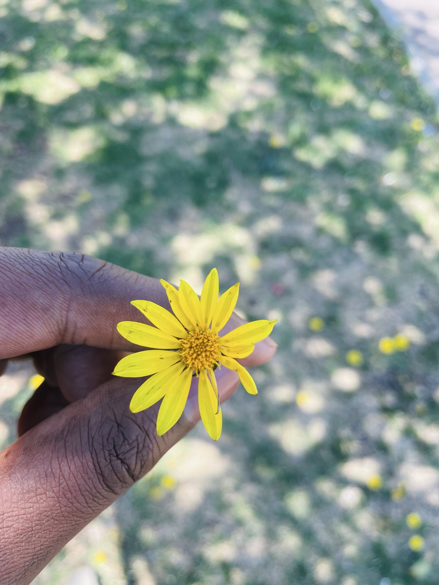 ComputerVundla tweet picture