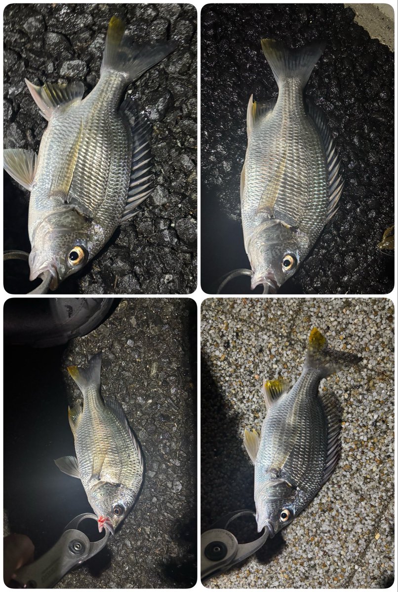 魚譜 A New Wind for Tomorrow – Jun Ishikawa Sheet Music for Piano