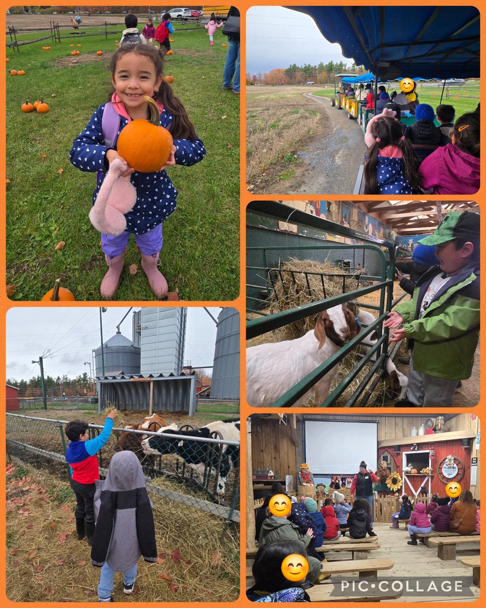 Mrs. Perrone tweet media