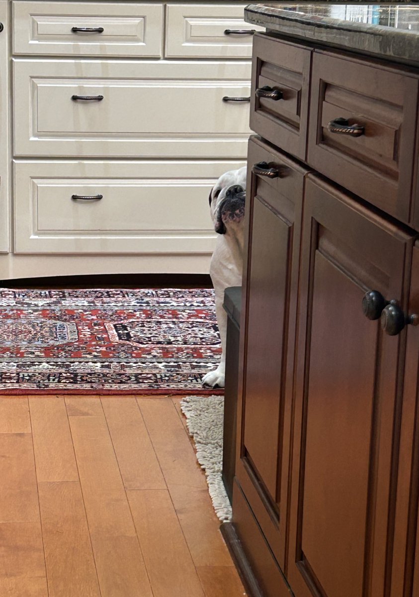 🎵I always feel like somebody's watchin' me
And I have no privacy (Oh-oh-oh) 🎶