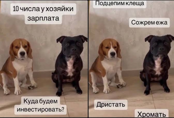 Tweet media one