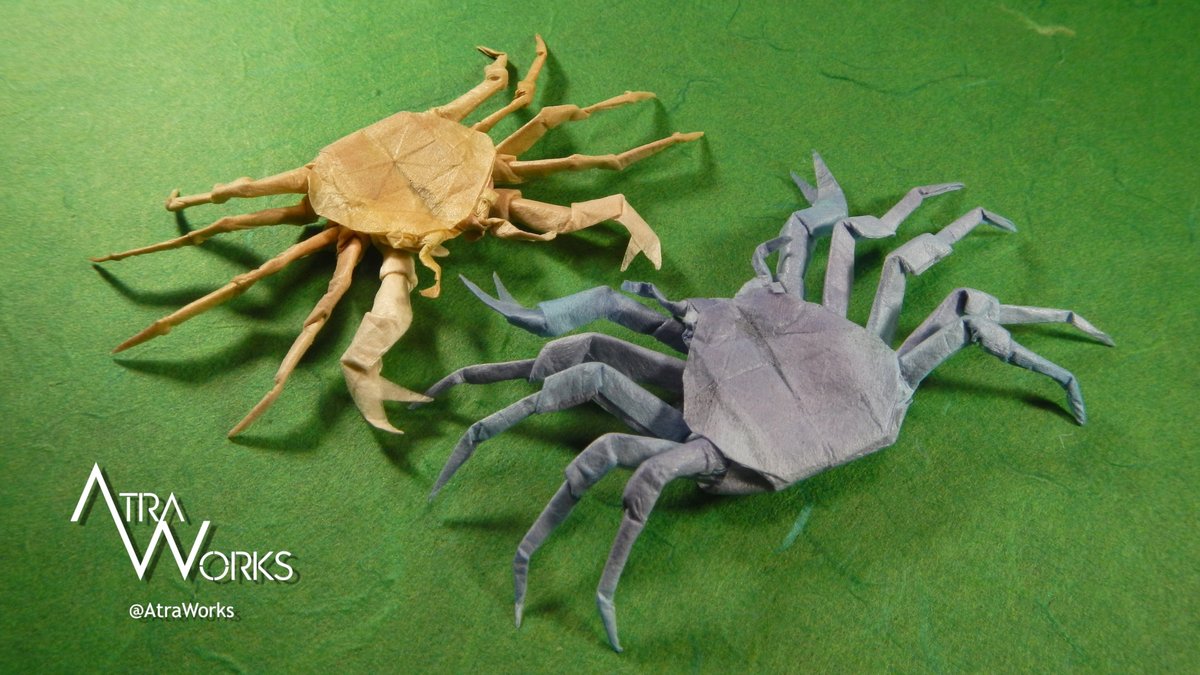 AtraWorks's tweet photo. [Origami / 折り紙 / 종이접기] Micro Crab v1.3 (♀), Opus 81
Designer: Alexander Nam Tran
Design Date: 2025-07-26 #origami #origamiart #origamisealife #origamicrab #microcrab #折り紙の海の生き物 #カニの折り紙 #カニ #ヒメソバガラガニ #종이접기바다생물 #게종이접기 #작은거미게 https://t.co/Q0CKjeLwR2