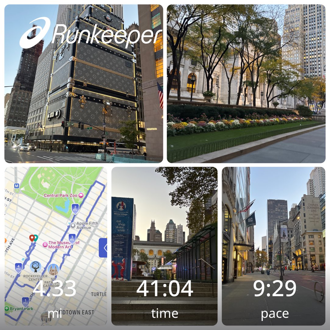 #SaturdayRunday #JustFeltLikeRunning #NYC #NewYorkCity #NYNY 🪨