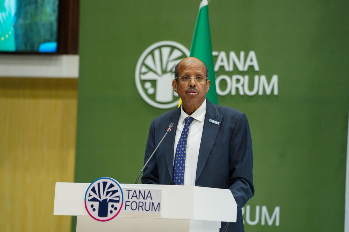 Institute of Foreign Affairs - IFA tweet media