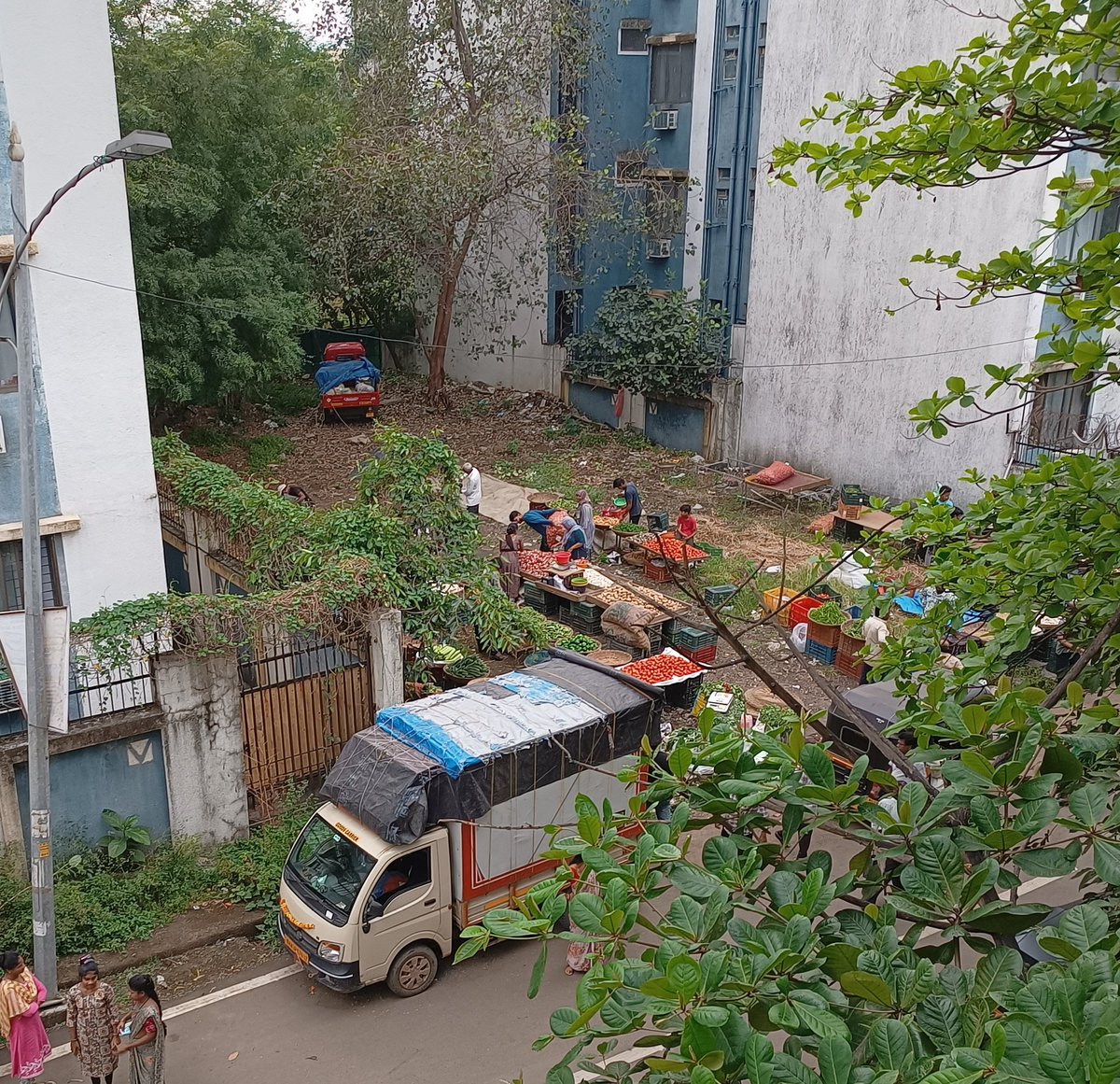 Denizen241's tweet photo. Illegal vegetable market at sec 18, behind LM Hostel, Kharghar.

Please take action @PanvelCorp @CIDCO_Ltd https://t.co/1fBnVRbM2a