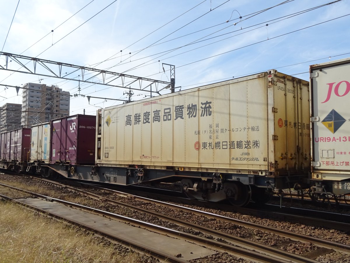 くまのこ くまのこべあーず (@kmn_Bears) / X