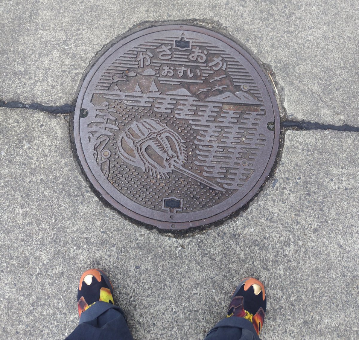 iwashi_77's tweet image. すっごくタイムリーなニュースを引用!
今日、ずっと行ってみたかった岡山のカブトガニ博物館に行って、カブトガニの血液の医療活用の説明を一人でめっちゃ読み込んでたの。
そんでカブトガニマンホールを探し歩いてたの。
x.com/Kyukimasa/stat…