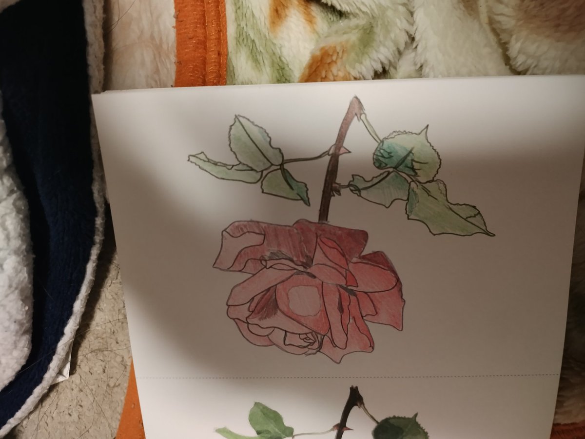 ナツ（感謝） 1日1回感謝する柚鳥ナツ (@Thanks_Natsu) / Posts / X