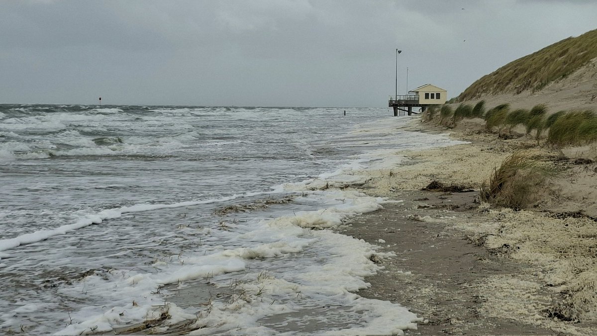 WNapBaukema's tweet photo. Uitwaaien vanmiddag op 't Zuidwest van #Ameland
#hoogwater #strand #stormbenjamin https://t.co/6cP20Bexwk