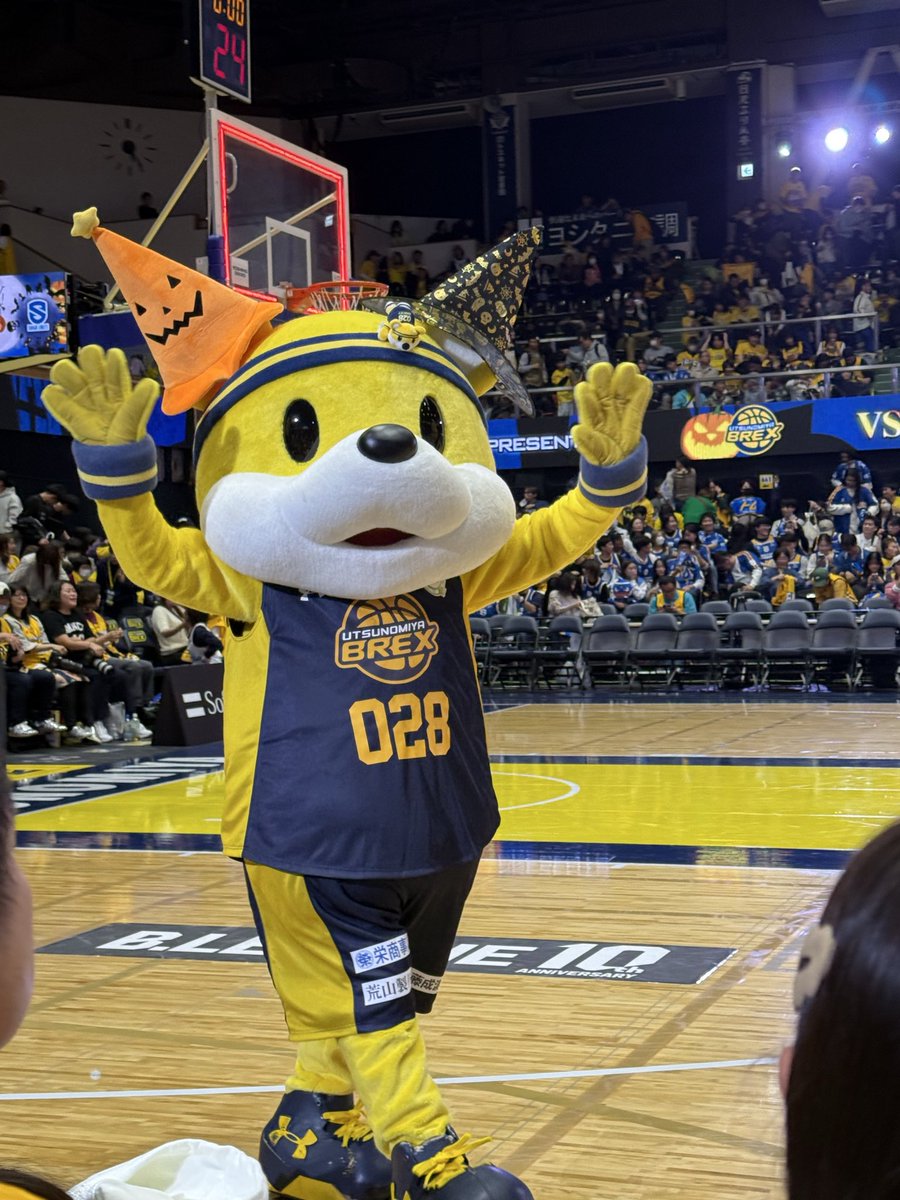 シン・シン (@shinshin_snow9) / Posts / X