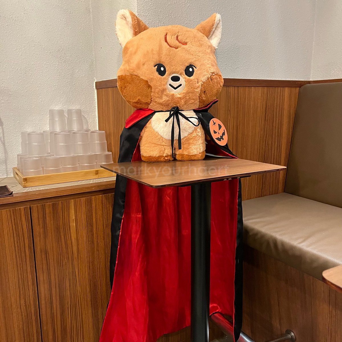 everyone!!! rate vampire jjopoo 1/10 🥺❤️