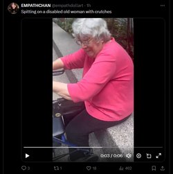 Eli 🐝 tweet media