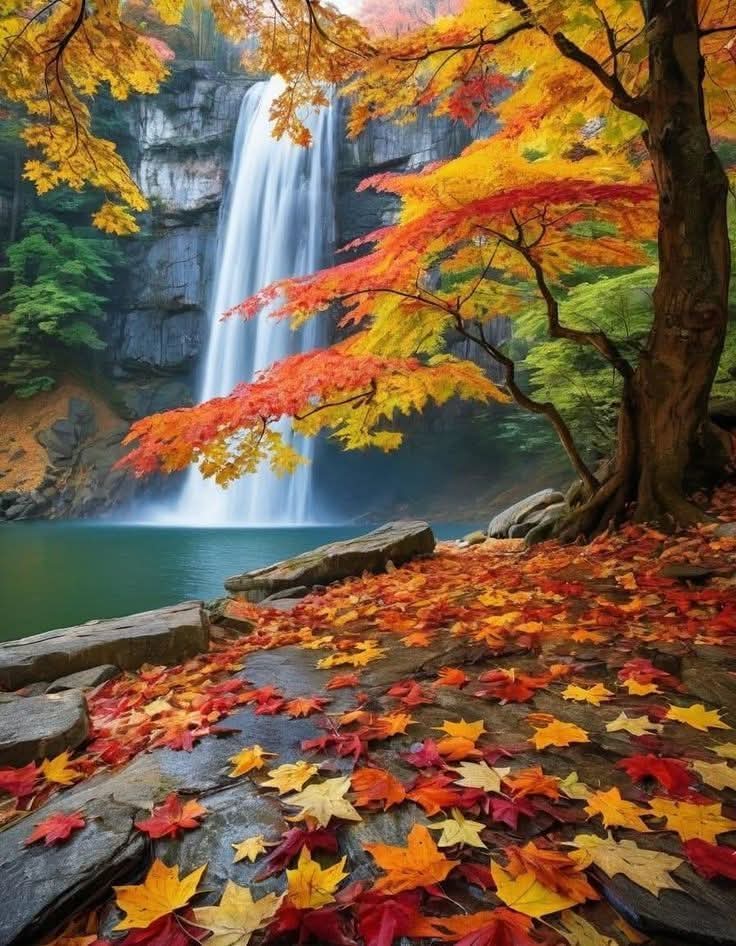 Earth (@earthglory_) on Twitter photo 