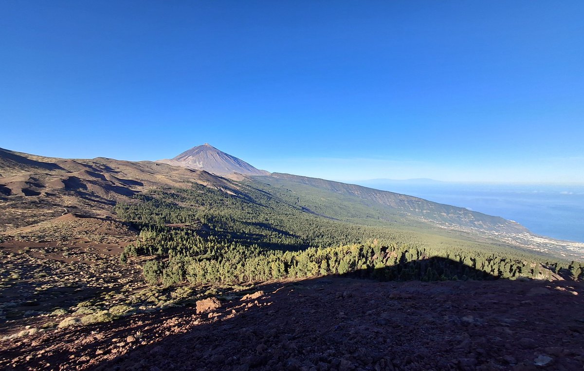 Entreno molón , La Caldera, Montaña Limón, La Crucita y de vuelta por camino Candelaría, foto desde Montaña Limón.