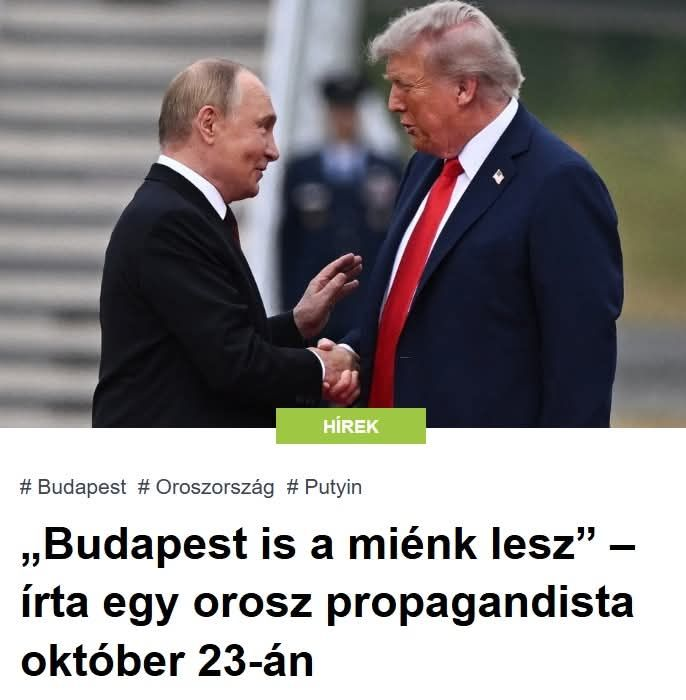 jancseee's tweet image. békegecik örülnek és tapsikolnak