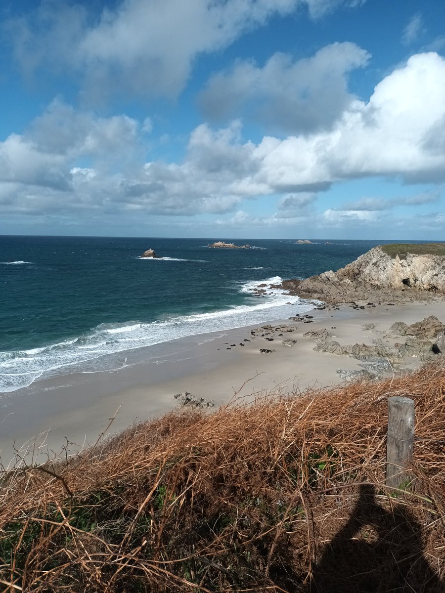 Avant d'aller à Francis le Blé pour Brest/PSG, un grand bol d'air à Trezien. Qu'elle est belle ma Bretagne