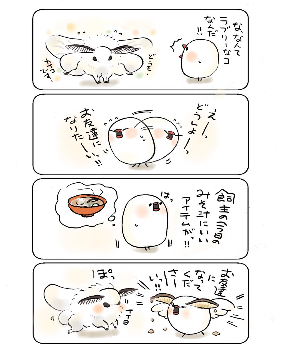 カイコになりたいぶんちょ