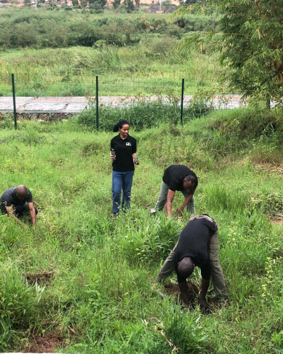 PTS_Rwanda's tweet photo. Our team joined Kicukiro Sector for Umuganda, taking part in tree planting and supporting local development. Together, we’re growing a greener and stronger Rwanda — because unity is how we move our nation forward. #Umuganda #TogetherWeGrow
#PremierTransportAndTourServices https://t.co/R0NKwOk0LP