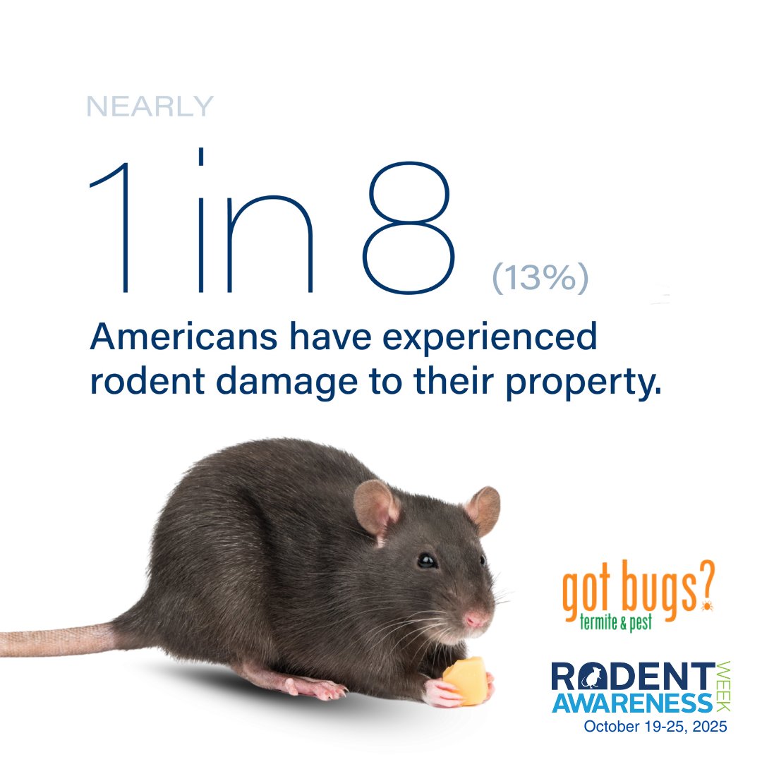 GotBugsTPS's tweet image. Don’t wait for rodents to take over—act now.
➡️ Get prevention tips at PestWorld.org
📞 Or call us directly: +1 404-468-2847
#RodentAwarenessWeek #pestcontrol #gotbugs #Atlanta