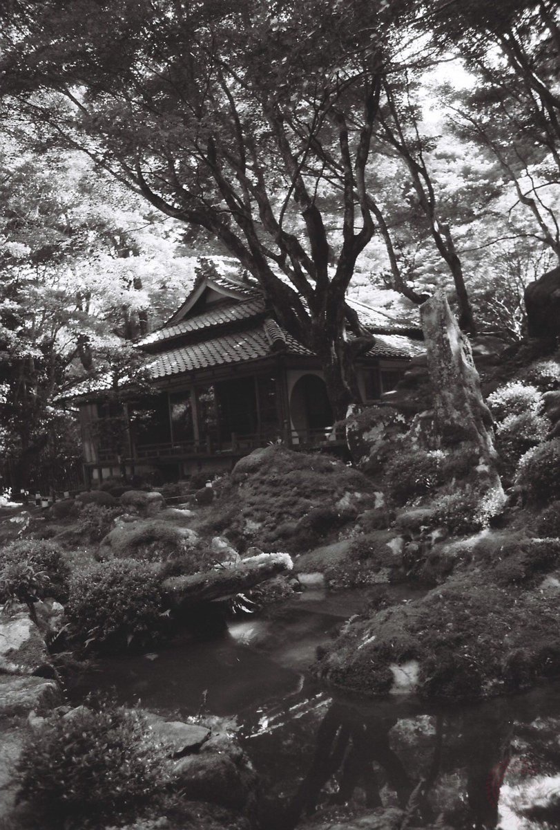 Nyagon (negative film photography lover) on X