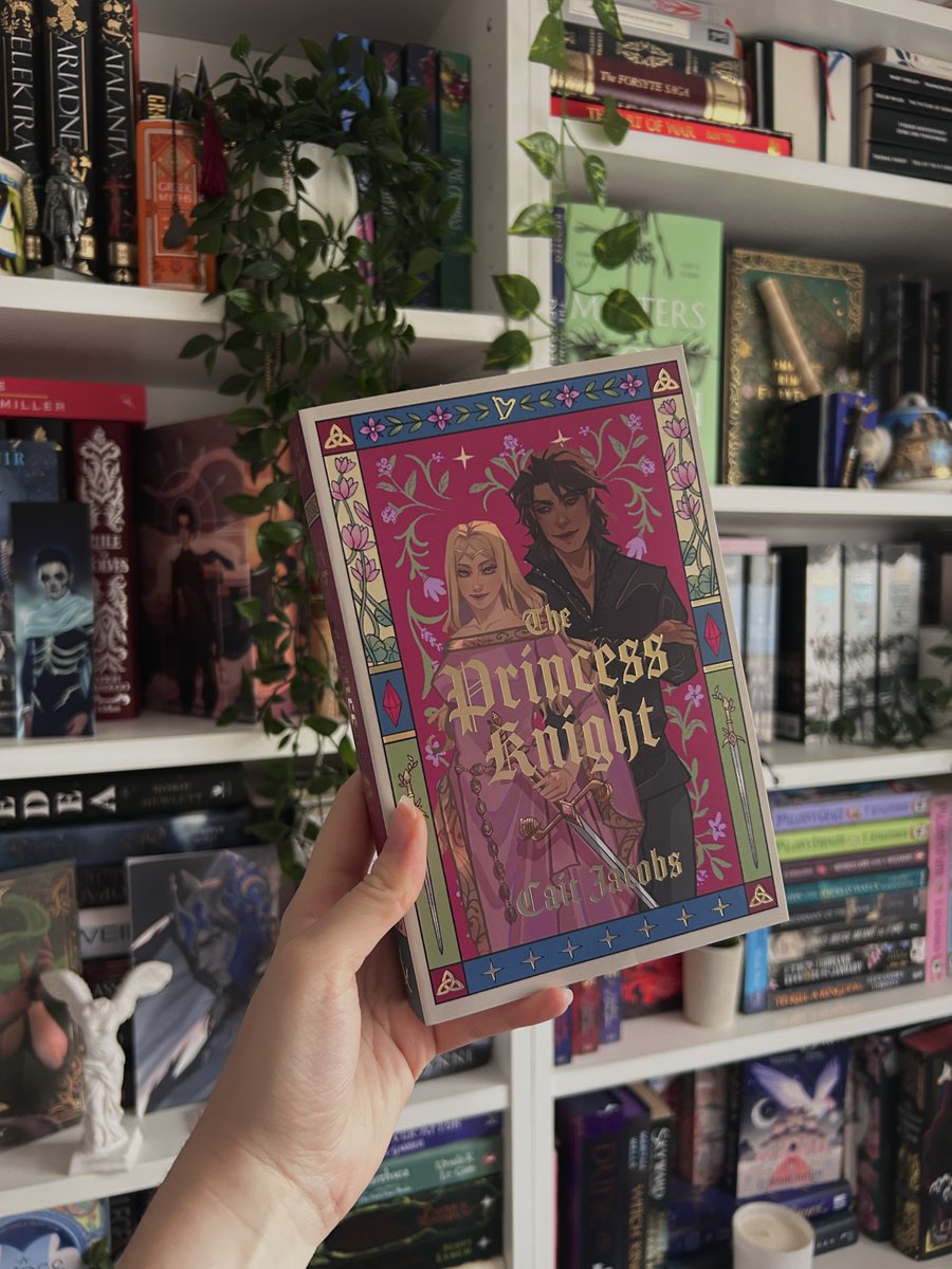 steffideee's tweet image. when the assignment is buying books with swords on the cover