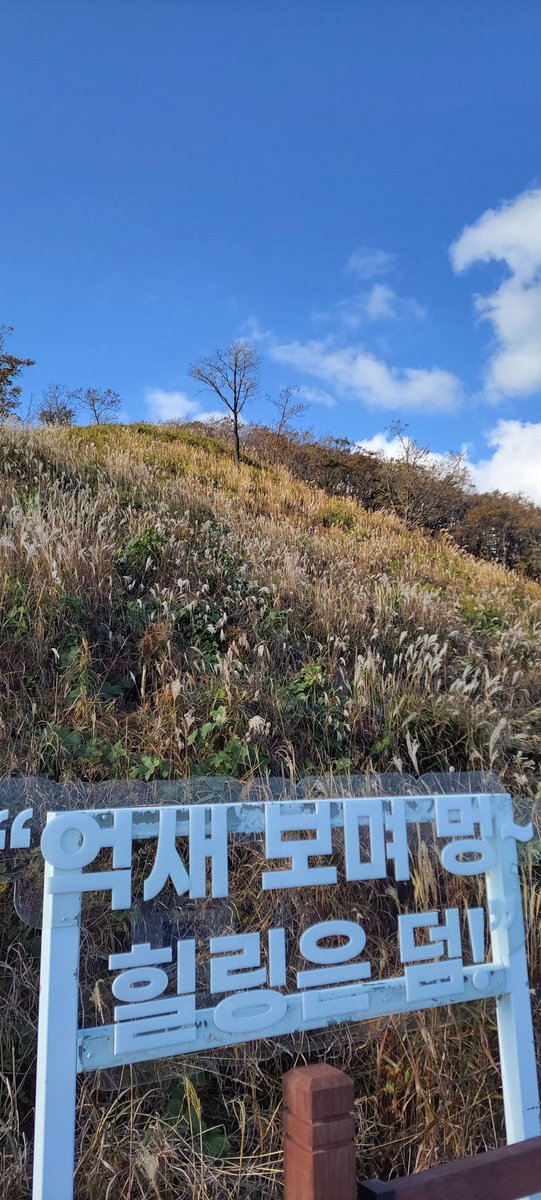 한&일부부7477韓国日本ソウル7477 tweet media