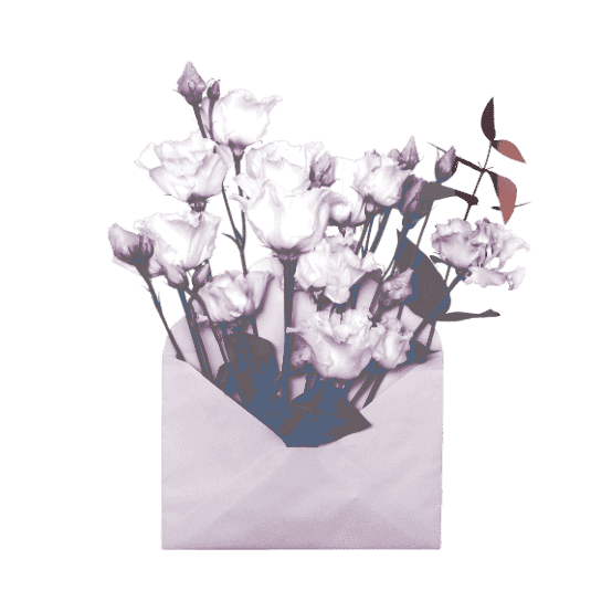 𐔌 🍰 𐦯 — 橘 ことは tweet media