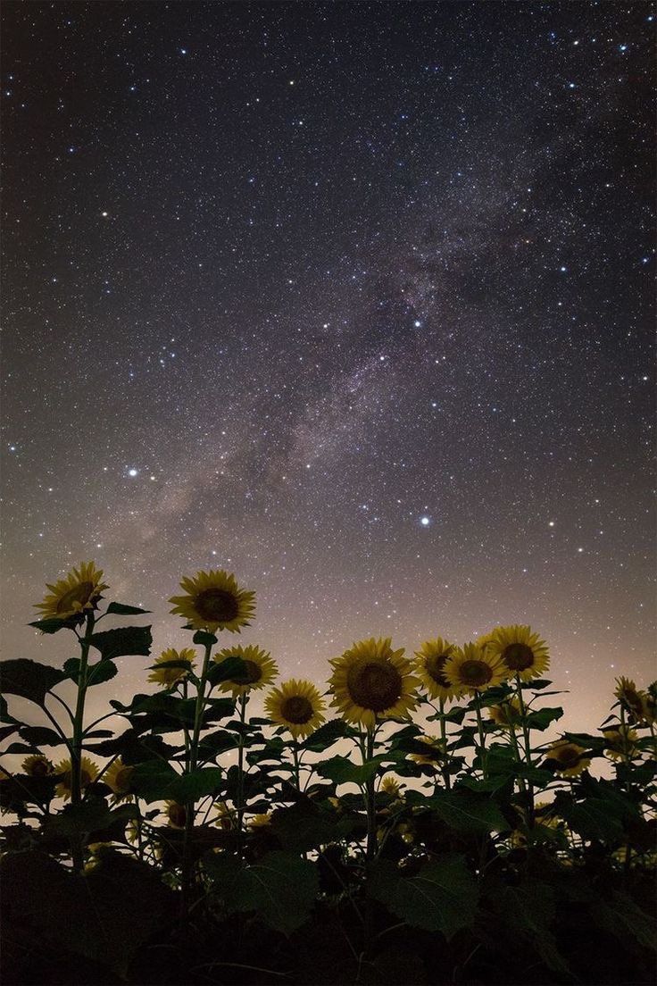 The sun leaves quietly, but beautifully 

GOOD EVENING X FAM ✨️