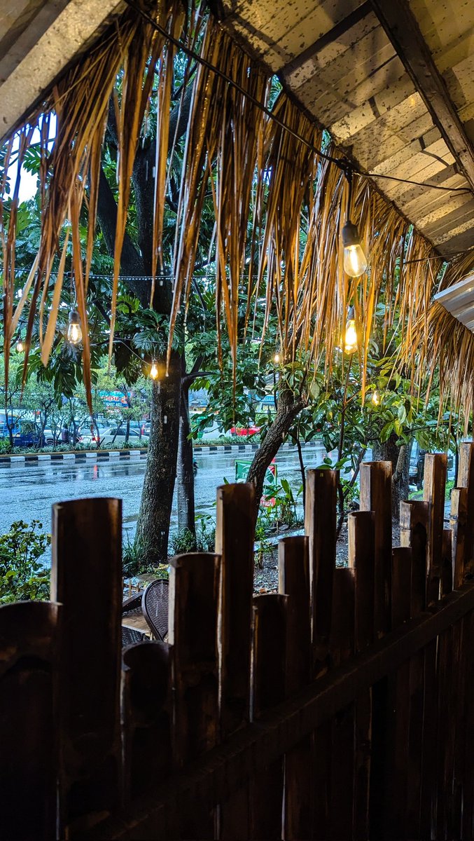 『 sᴇɴᴀ 』🥦 tweet media