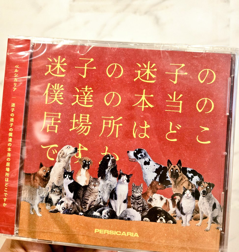 ペルシカリア 迷子の迷子の本当の居場所はどこですか