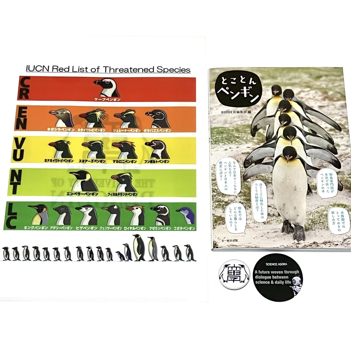 ゆずぽんず (@Yuzu_Ponze) / Posts / X