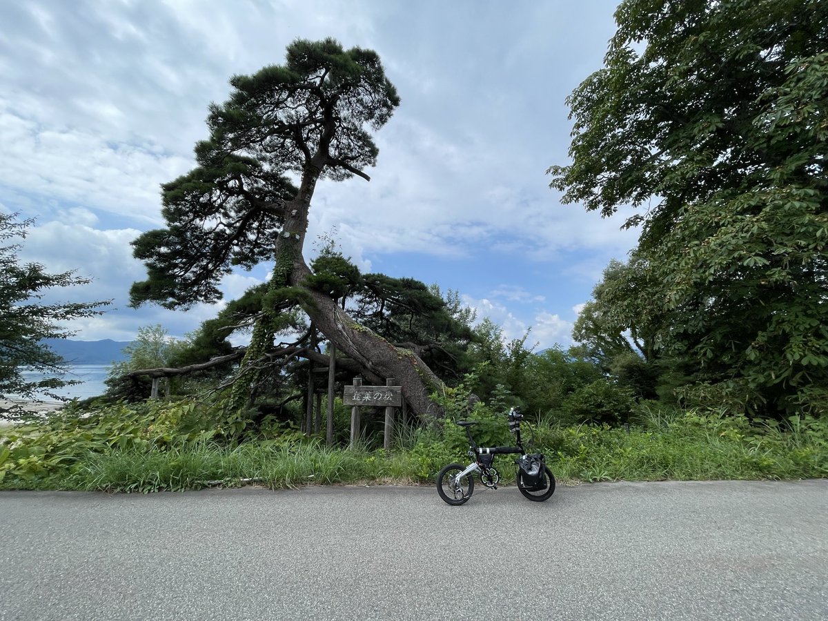 #これを見た人は愛車の背景が木の画像を貼れ