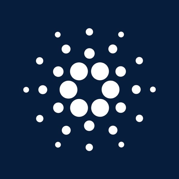 Milady CryptoRoy tweet media