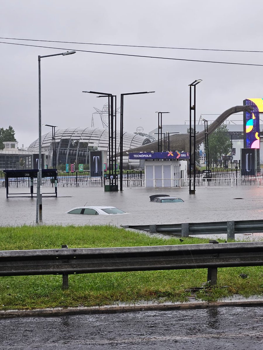 Guido Micele tweet media