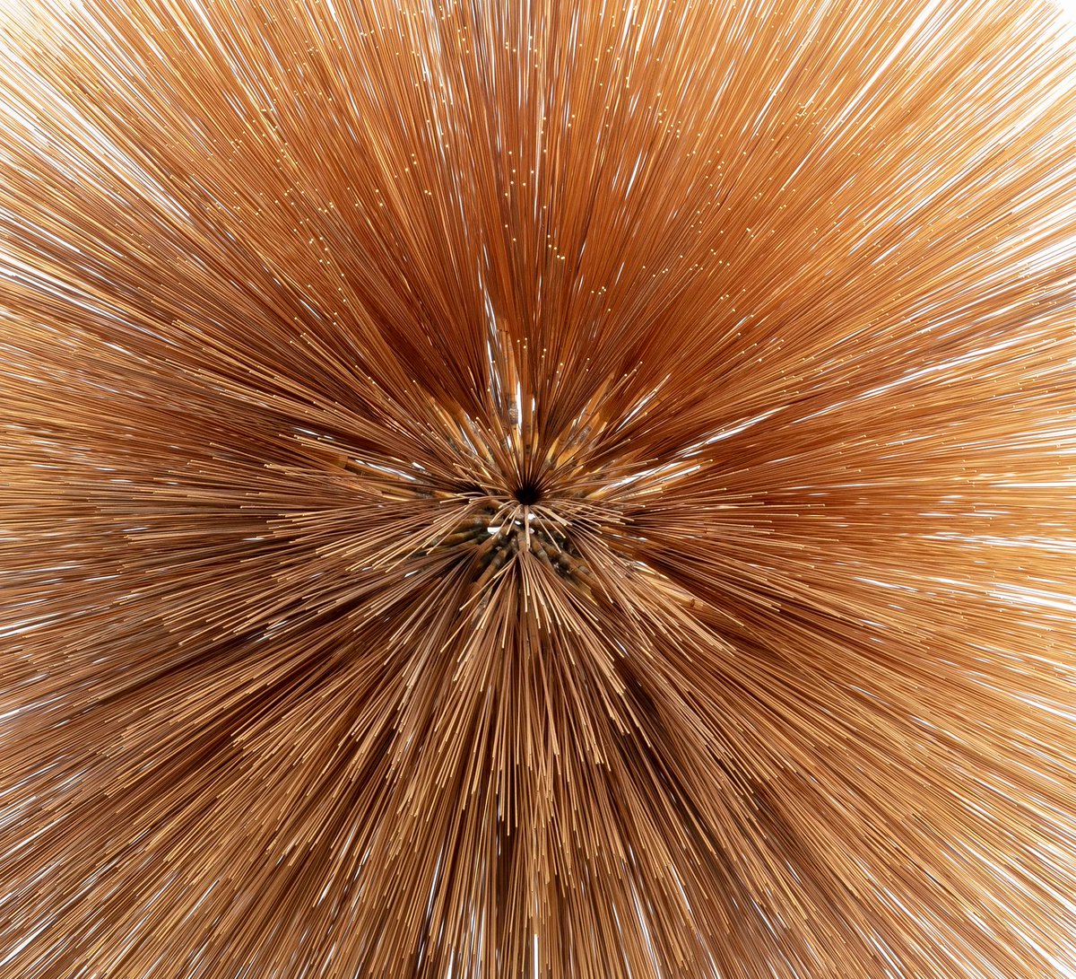 Out October 24: vibraphonist, marimbist &amp; composer Patricia Brennan’s upcoming album Of The Near And Far
The album uses the constellations as the basis for exhilarating compositions blending jazz, classical and alt-rock influences.

jazzpress.gpoint-audio.com/2025/10/octobe…