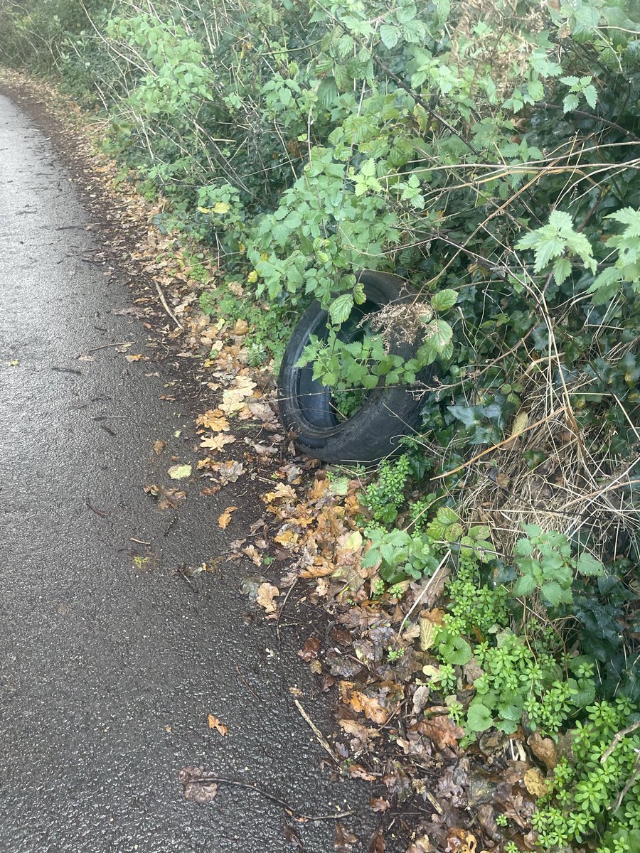 Julia Townsend tweet media