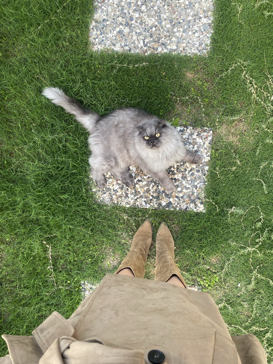 Kendime bu sabahı bediye ettım