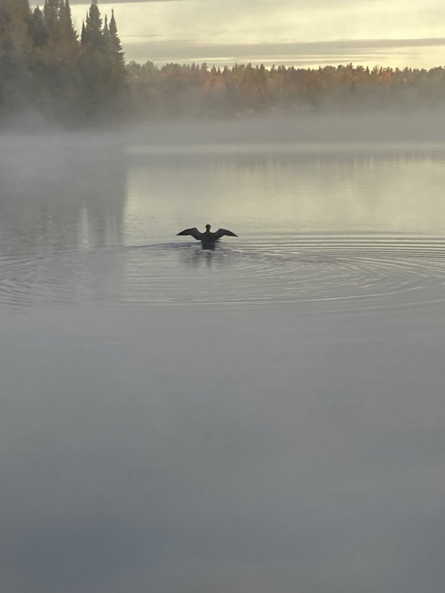 Good cool morning from Lake House!
#nature
#kawarthalakes