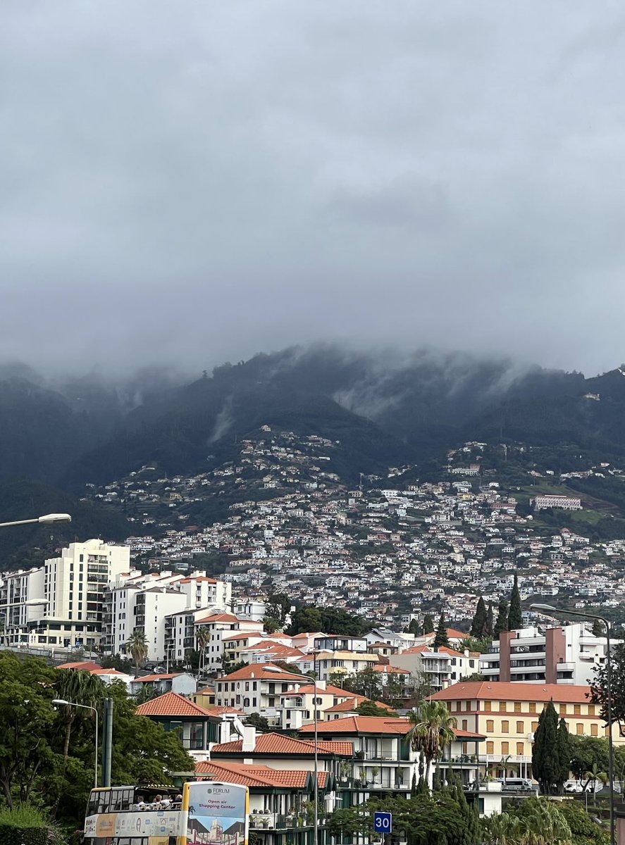 Prof Satya Sarker (Phytochemist & Writer) 🇬🇧 tweet media