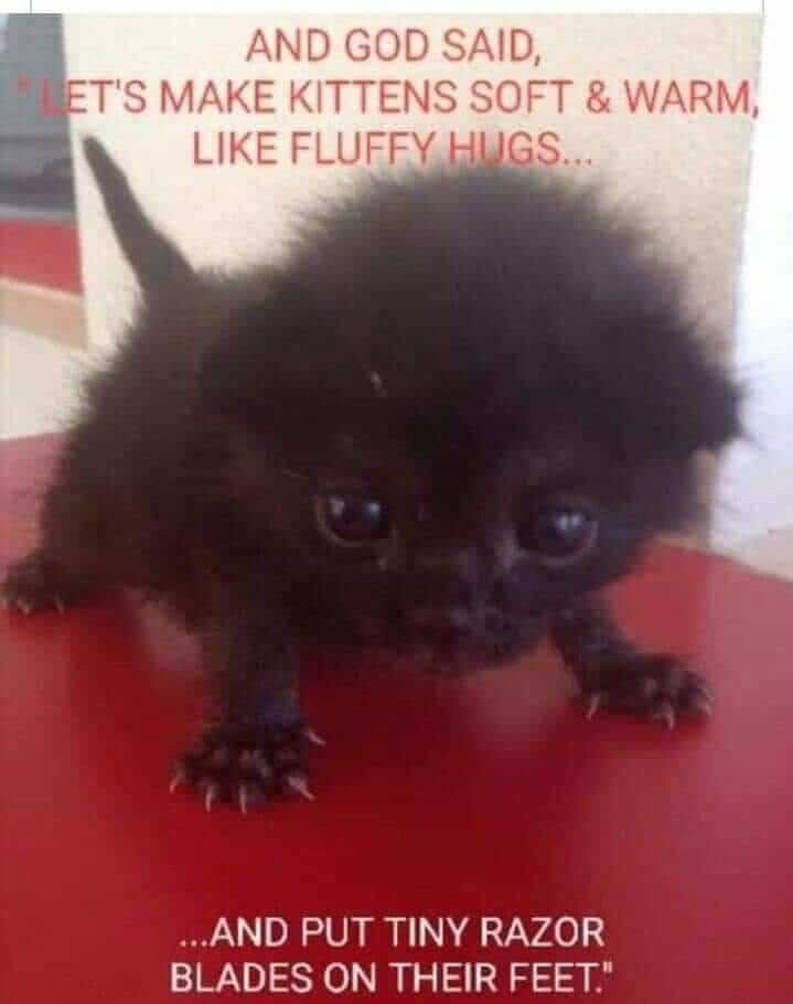 😺  <a href="/LouDPhillips/">Lou Diamond Phillips</a> and #theFOLD #dadjokes #HappyCaturday