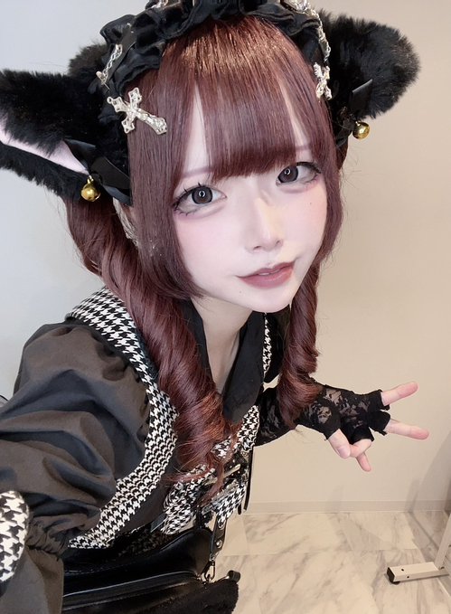 キャットウォーク Catwalkのツイート