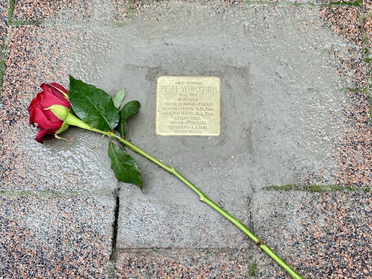 DBoBruessel's tweet image. Pose des premiers #pavés de mémoire à Aarschot en présence de l&apos;artiste 🇩🇪 Gunter #Demnig en mémoire de six membres de la résistance 🇧🇪 assassinés dans des camps de concentration en 🇩🇪 et en 🇵🇱 pendant la Seconde Guerre mondiale ou exécutés par les forces d&apos;occupation 🇩🇪.