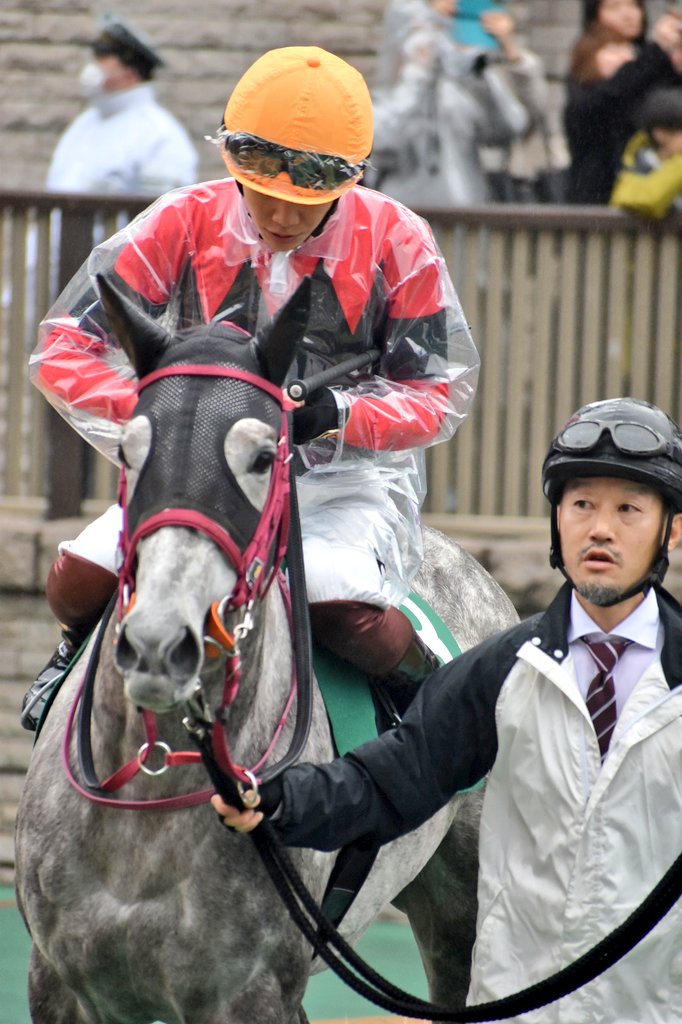 けーさん☆聖奈！ on X