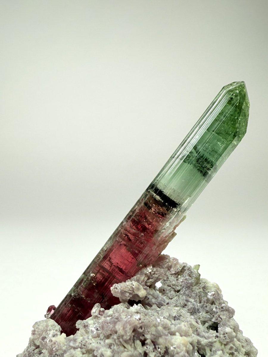 個人的に理想的な標本❗️
おめでとう俺！

 #10月なのでトルマリン見せてください