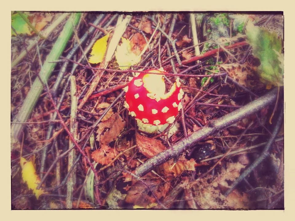 Rotterdam ✪ Klankbord tweet media