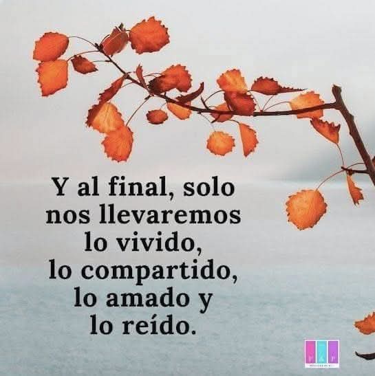 VidaEquilibrada (@vidaequilibrad4) on Twitter photo 