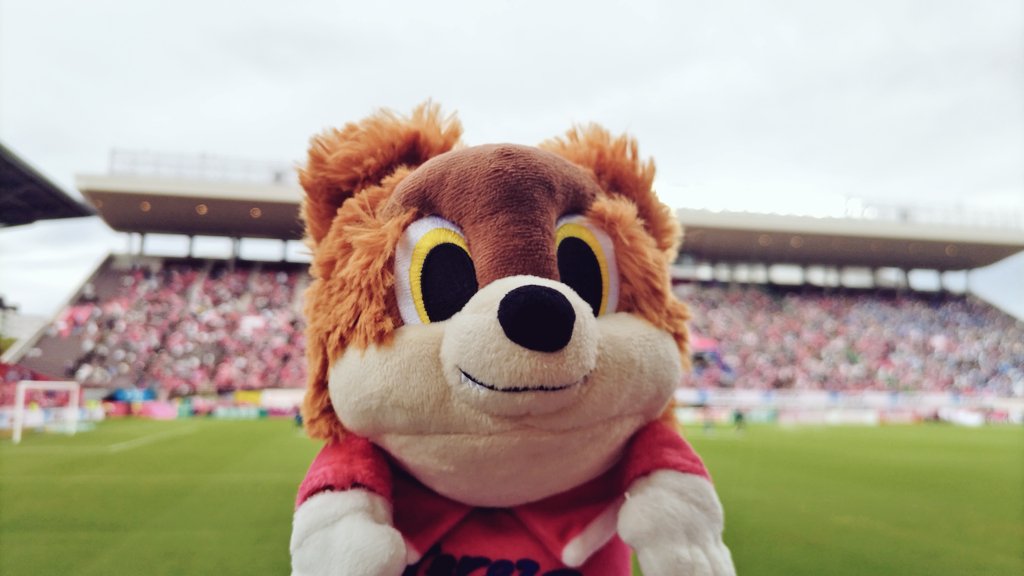 チビちーちゃん ちーちゃん🌱ZX-4RR (@bakusoumotochiz) / Posts / X